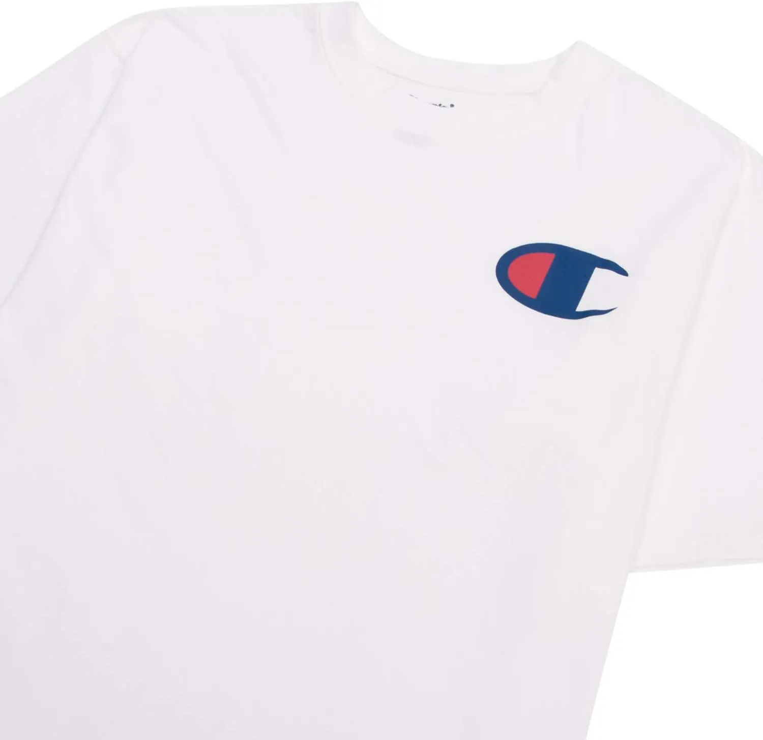 Champion Big and Tall T Shirts for Men  2 Pack Graphic Mens Big and Tall Tees
